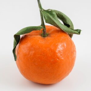 a close up of an orange on a white background